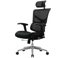 Кресло Evolution Model E
