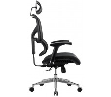 Кресло Evolution Model E