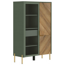 Шкаф Siena REG1W1D/140 92,5*41*145 дымчатый зеленый/дуб вотан (с подсветкой) Шкаф Siena REG1W1D/140 92,5*41*145 дымчатый зеленый/дуб вотан (с подсветкой)