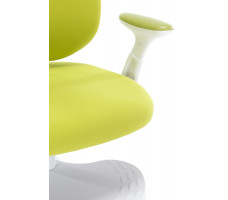 Кресло ортопедическое Everprof Kids 104 зеленый