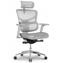 Креслo ERGOSTYLE Sail Pro-G Креслo ERGOSTYLE Sail Pro-G