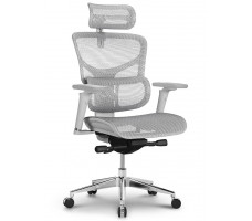 Креслo ERGOSTYLE Sail Pro-G