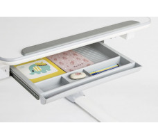 Детская парта Smart E502 с полкой и подставкой для книг