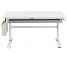 Комплект ученический Smart 120 Plus (парта E902, полка Wooden Space, накладка E511)