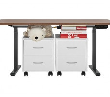 Стол с регулируемой высотой Ergo Desk Pro White 138*80*1,8