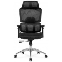 Кресло SitUp GARFILD LUX (Гарфилд Люкс) Chrome (сетка Black/сетка Black)