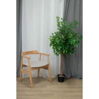 Стул Sheffilton SHT-S204 светлый беж/прозрачный лак купить в Минске