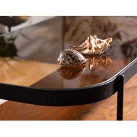 Стол журнальный SIGNAL PRIMA A 120*58*43 орех/черный мат купить в Минске