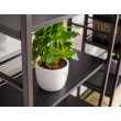 Стеллаж SIGNAL RAW R5 60*28*154 черный купить в Минске