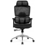 Кресло SitUp GARFILD LUX (Гарфилд Люкс) Chrome (сетка Black/сетка Black)