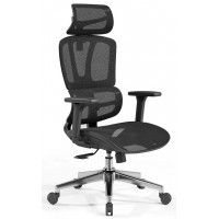 Кресло SitUp PALMA (Пальма) Black chrome (сетка Black/Black)