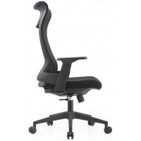 Кресло SitUp Record LUX (Рекорд Люкс) BLACK (сетка Black/Black) купить в Минске Кресло SitUp Record LUX (Рекорд Люкс) BLACK (сетка Black/Black) купить в Минске