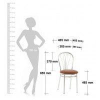 Стул VENUS (Венус) купить в Минске Стул VENUS (Венус) купить в Минске