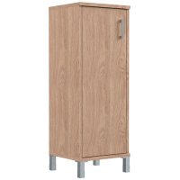 Шкаф узкий средний Born B-421.6(R) купить в Минске