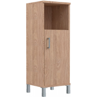 Шкаф узкий средний Born B-B-421.2(L)