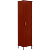 Шкаф узкий высокий Born B-431.6(L) купить в Минске Шкаф узкий высокий Born B-431.6(L) купить в Минске