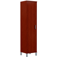 Шкаф узкий высокий Born B-431.6(R) купить в Минске