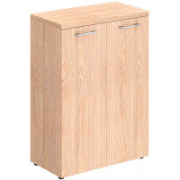 Шкаф Torr-Z TMC 85.1 купить в Минске