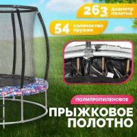 Батут Sundays Favorite Premium 10FT (смайл, с сеткой, с лестницей) купить в Минске