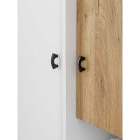 Шкаф SV-МЕБЕЛЬ (МС Анри К) белый текстурный/дуб золотой/железный камень купить в Минске