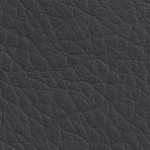 Vegas grey