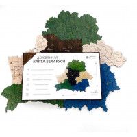 Карта Республики Беларусь цветная (на русском языке) 60*51,5 см