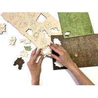 Карта Республики Беларусь цветная (на русском языке) 60*51,5 см купить в Минске