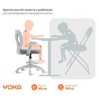 Кресло ортопедическое Yoka Bexi (Бекси) серый купить в Минске Кресло ортопедическое Yoka Bexi (Бекси) серый купить в Минске