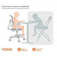 Кресло ортопедическое Yoka Griff (Гриф) серый купить в Минске